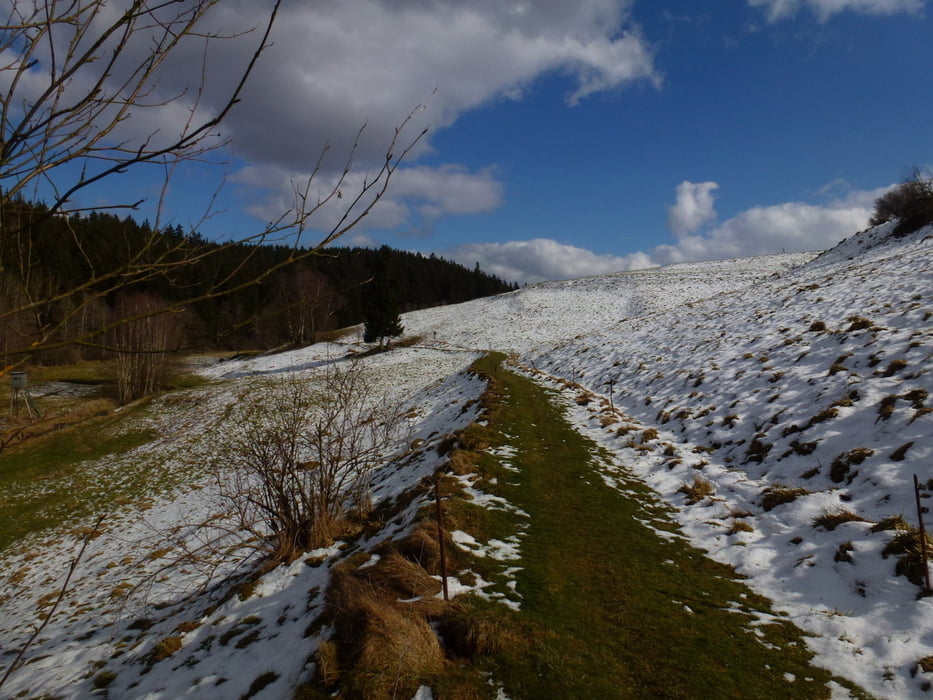 Harzgerode  - Glasebach - Birnbaumteich - Selketal