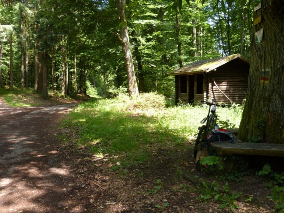 Hirzeck-Drachenfels