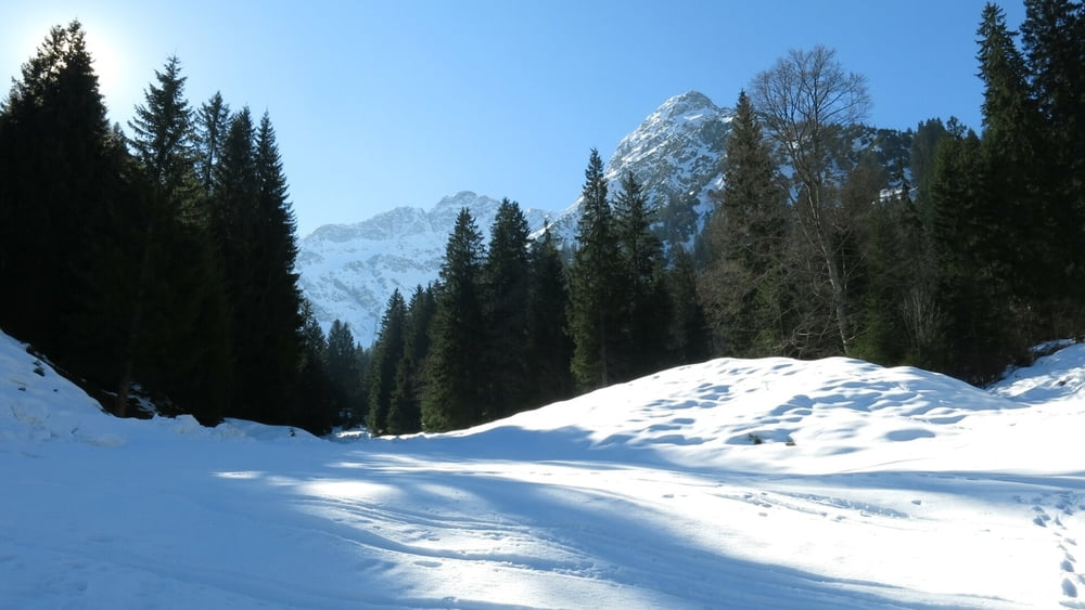 Wandern Kleinwalsertal: ins Wildental bei Hirschegg