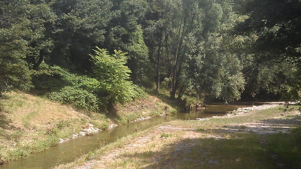 Donaustadt-Wienerwald-Wienfluss-Liesingbach-Mannswörth-Donaustadt