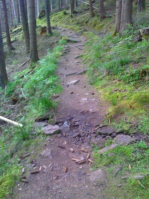 Trails um Königsfeld