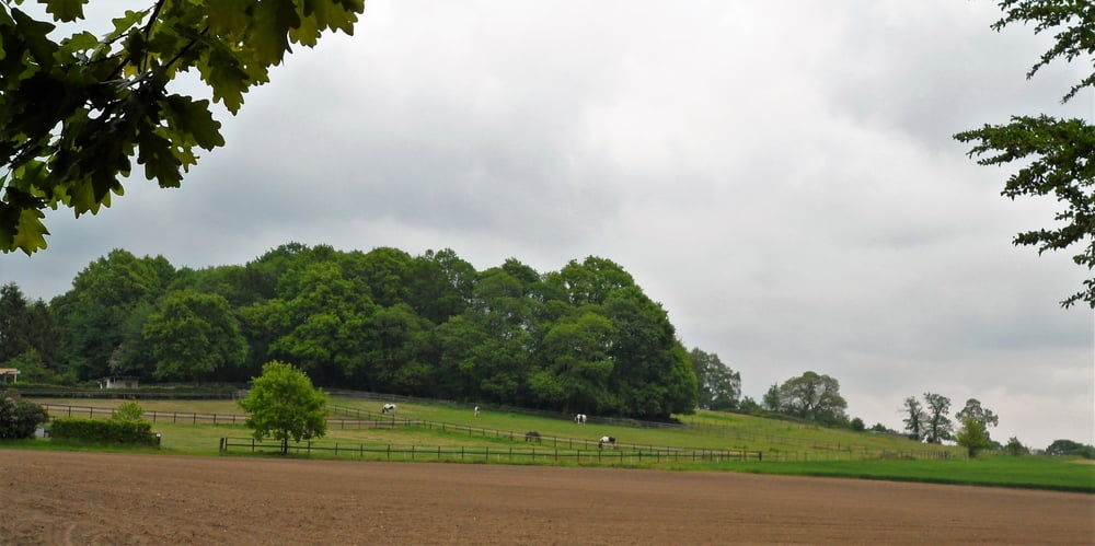 Reichswald rondom Frasselt