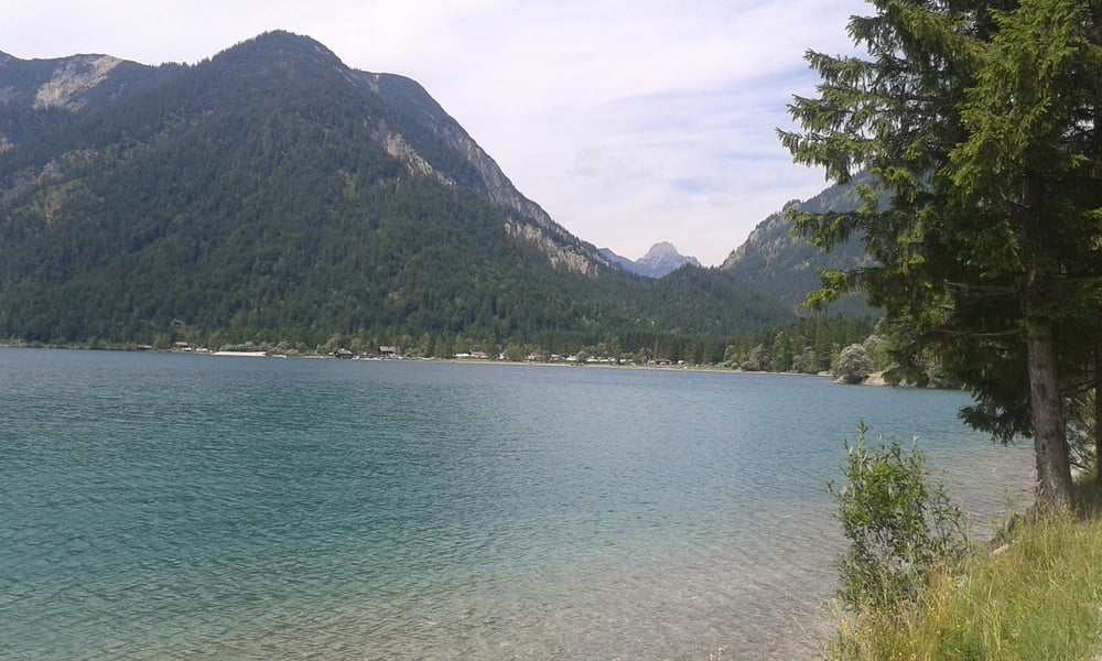 Plansee (Dachi 4) 150724