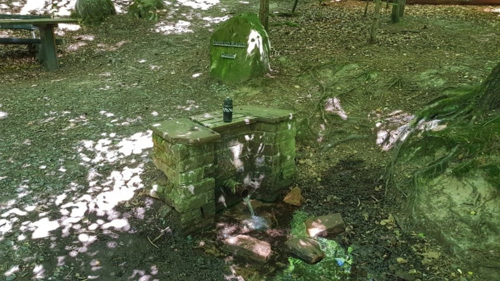 die Heinrich Rauch Quelle im Kellergrund