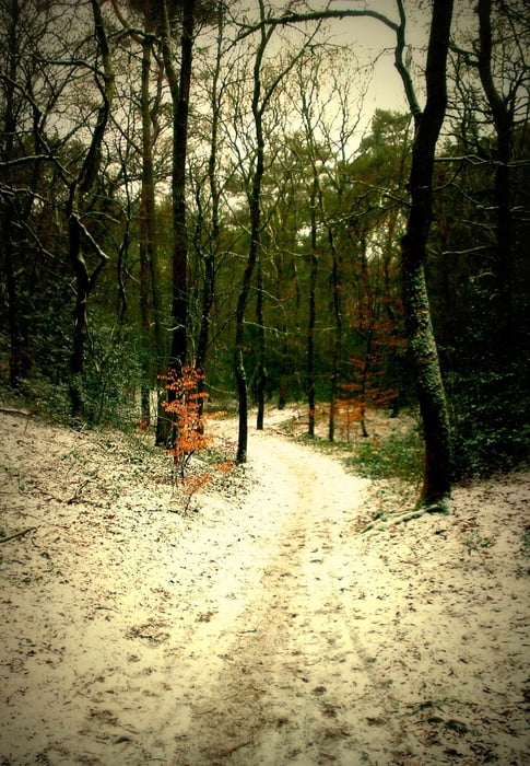 Appelscha 12 km