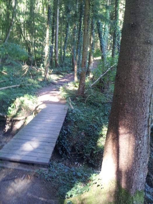 Auf Premiumwanderwegen um den Gehrenberg