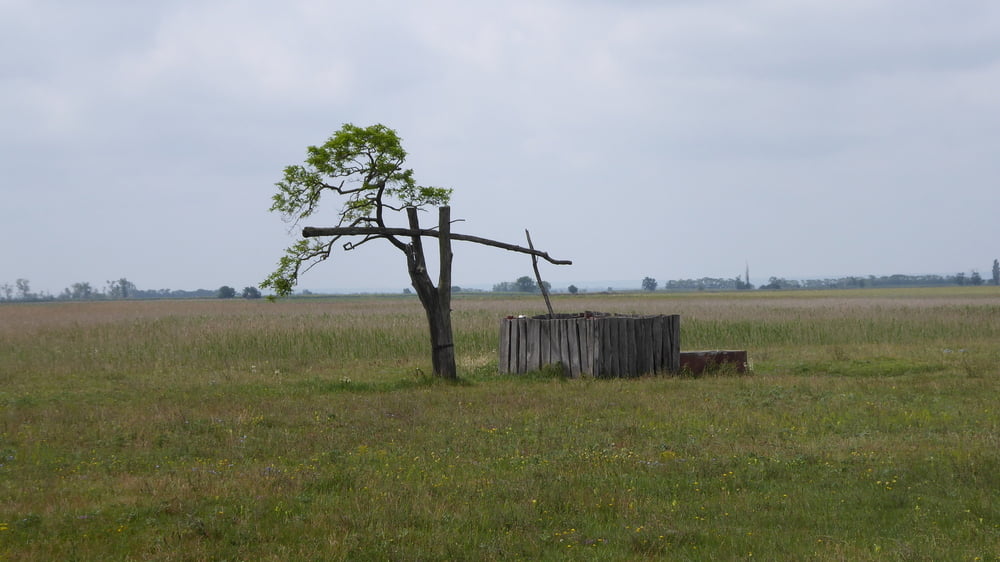 Lange Lacke Neusiedlersee Hinterland vor Reifenpanne 