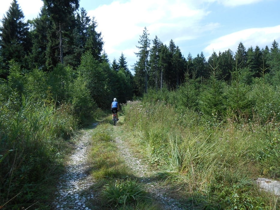 Hochbergrunde, optimiert