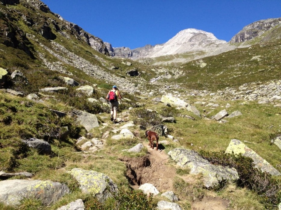 Friesenberghaus