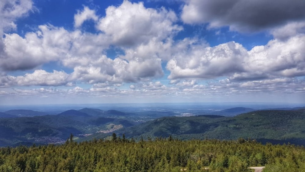 Zum Hohlohturm auf 990m