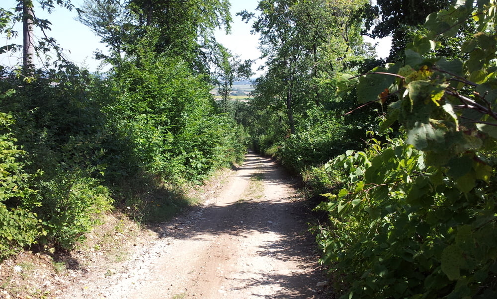 Geissbühelstrecke