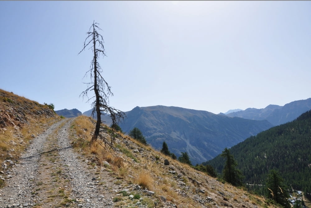 Westalpen_2012_03