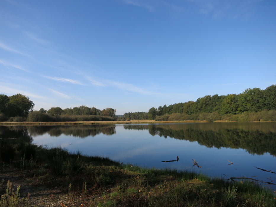Pietersheim Heide Route - Nationalpark Belgien