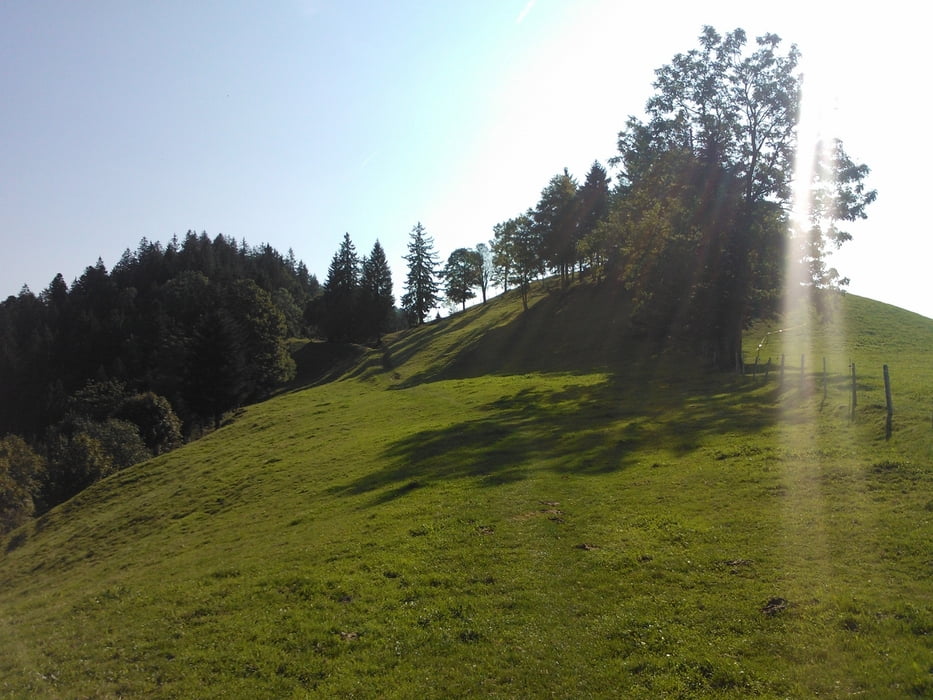 Wasen Hochänzi
