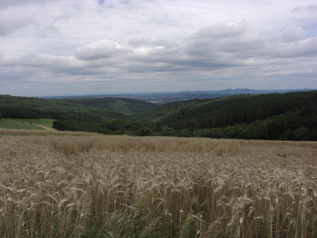 Waldwanderung von Ramersbach zum Neuenahrer Berg