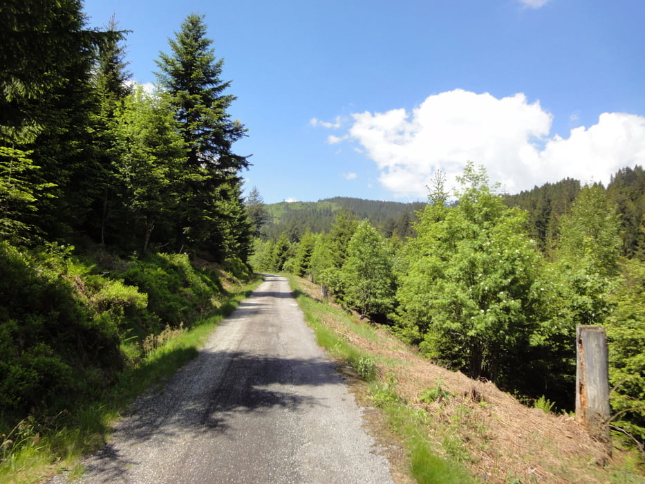 Tour rund um den Schliffkopf von Obertal (Baiersbronn)