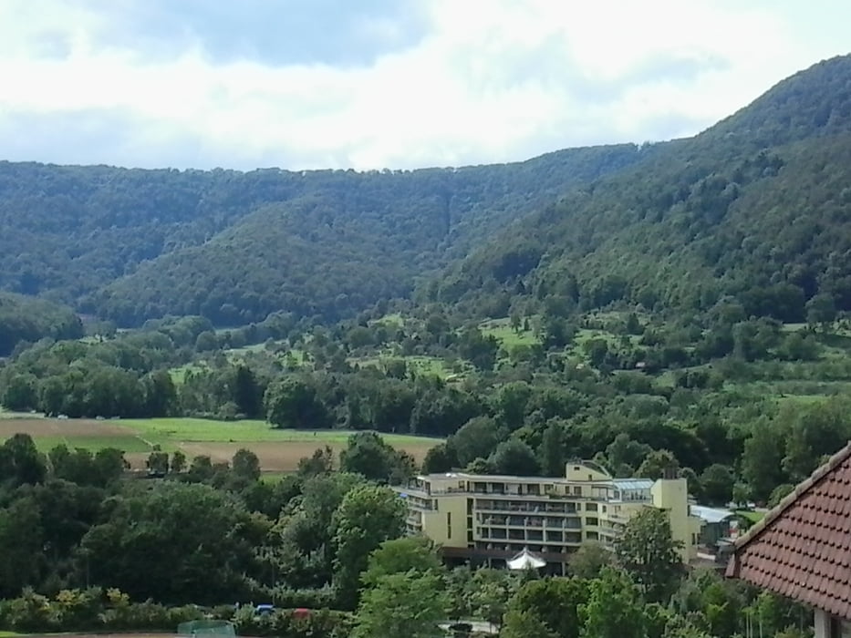 Durch  den Wald nach Urach