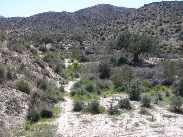 Tabernas Schnupperroute