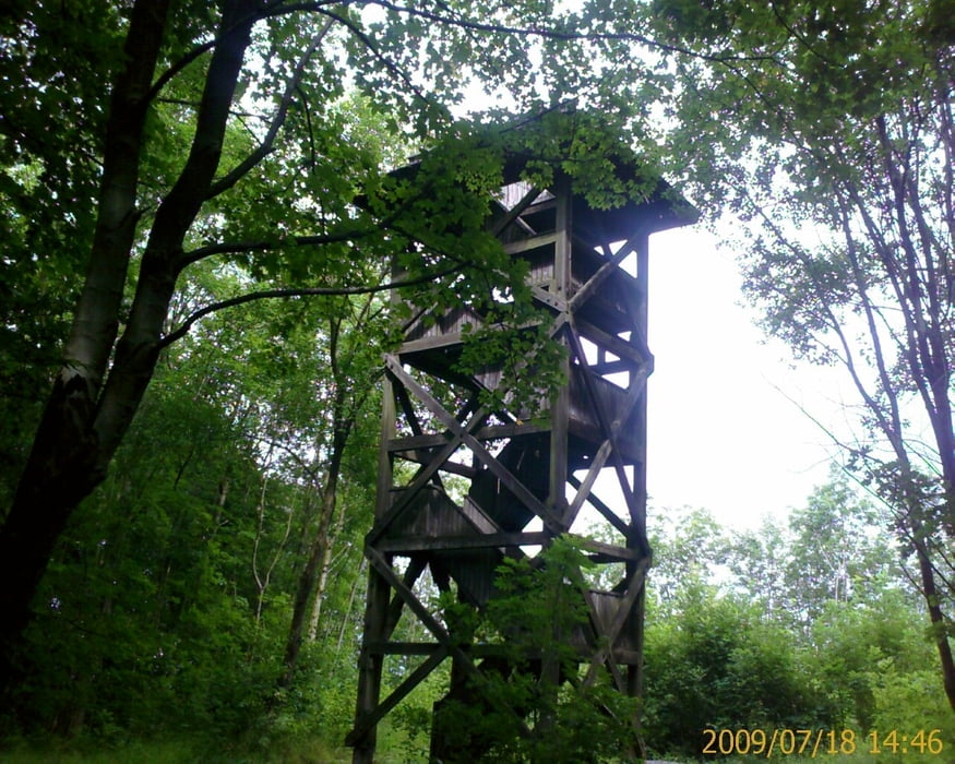Göttinger Wald T1: Vier Türme