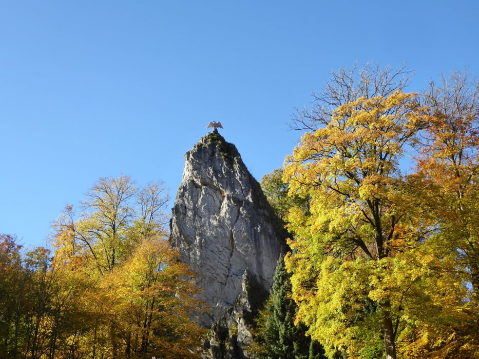 König Hübich Route mit WeltWald - Bad Grund