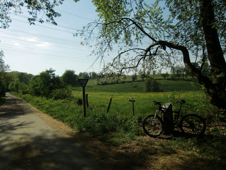 MTB Rundkurs (Scheuerfeld - Wissen)