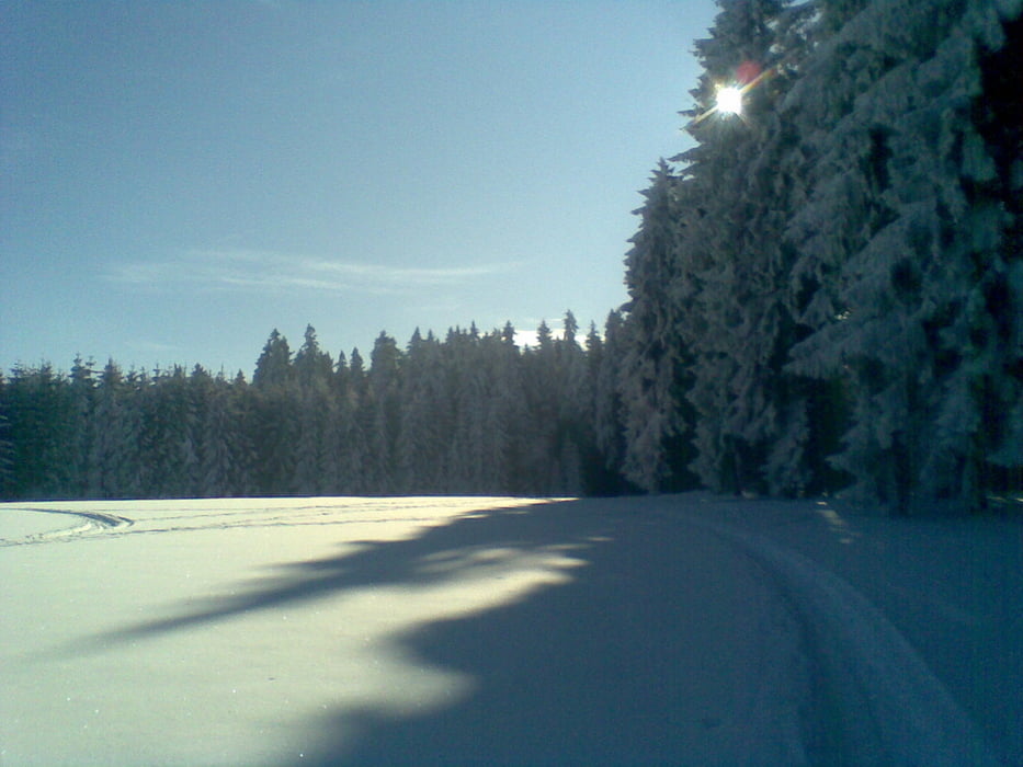 Rund um den Geyrischen Teich