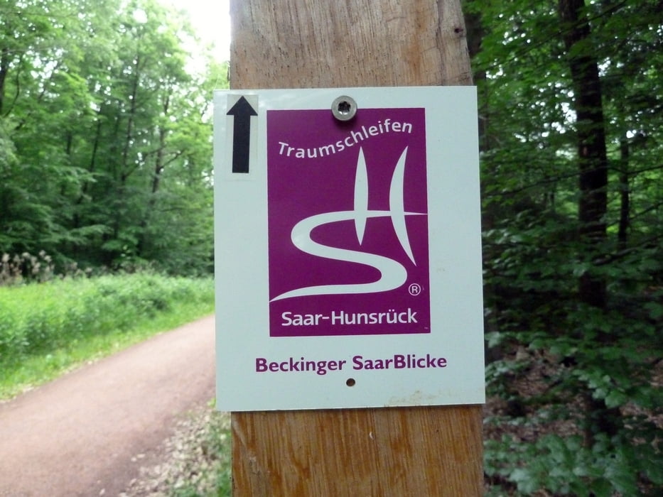 Beckinger SaarBlicke