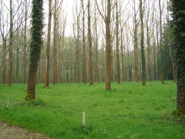 Hagelandse heuvelroute
