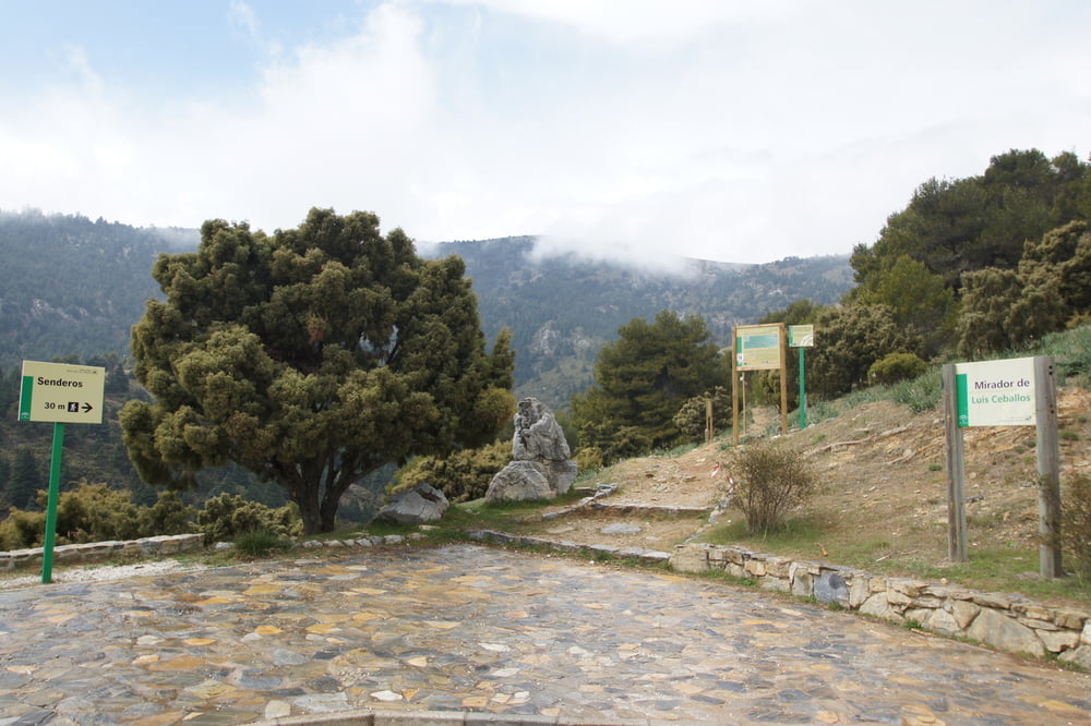 Tour in der Sierra de las Nieves