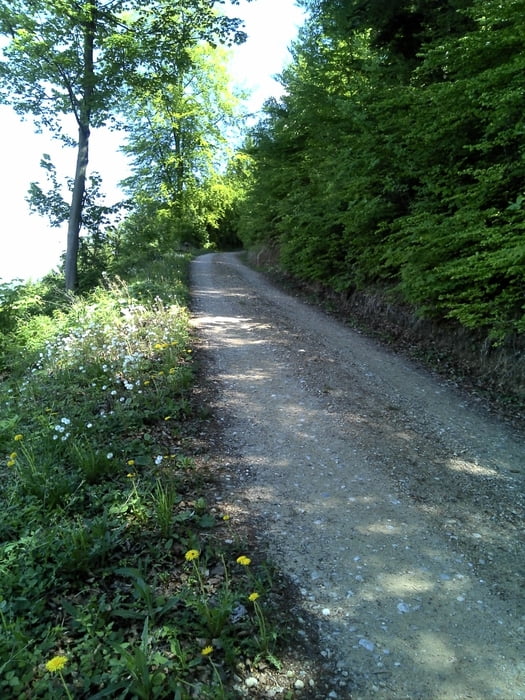 steinerberg ATB Tour Camping Breznik