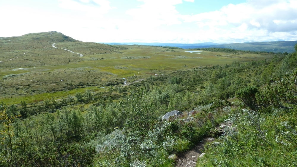 Weg nach Jotunheimen