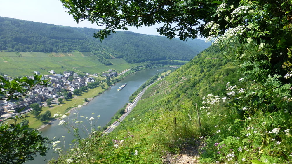 130714 Mosel - Via Breva