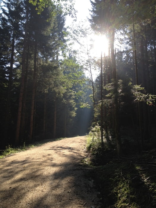 Waging-Teisenbergrunde
