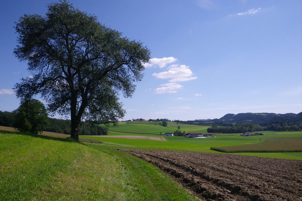 Tour de Lehner 2012