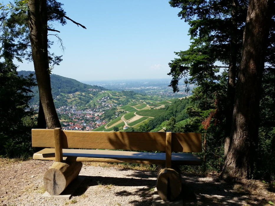 Büchelbach-Trail-Bühlertal