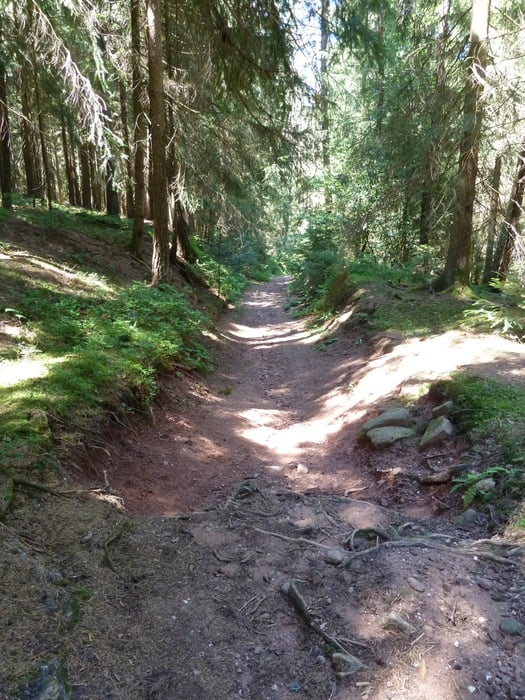 Nussbach uphill to Sommerau