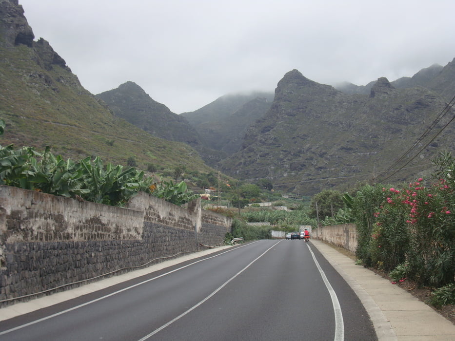 Teneriffa Tag4 Los Realejos-Buenavista del Norte