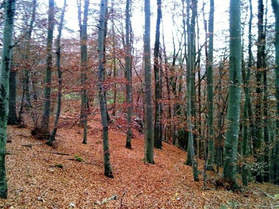 Blautal / BW - Tour 2 - 34,1 Km • 714 Hm