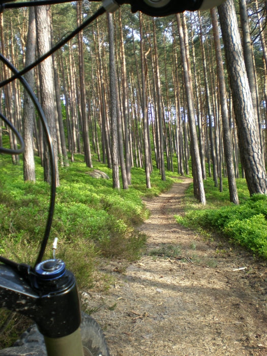 Ebnethrunde gewürzt mit Singletrails .... lecker !!!