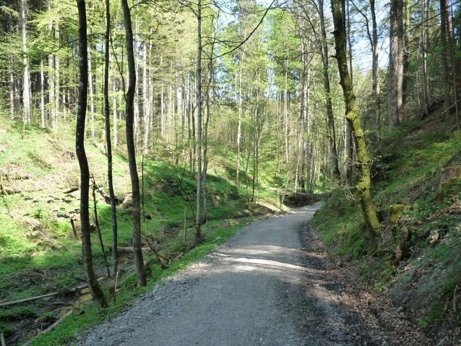 Grafing Bhf - Holzkirchen meist abseits großer Wege