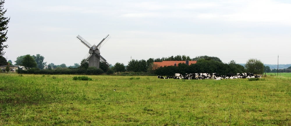 von Magdeburg durch die Colbitz-Letzlinger Heide und zurück über den Elbe-Radweg