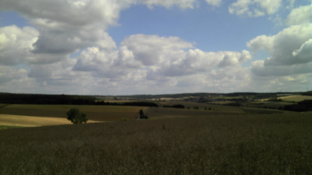 Große Runde um Kleinrinderfeld