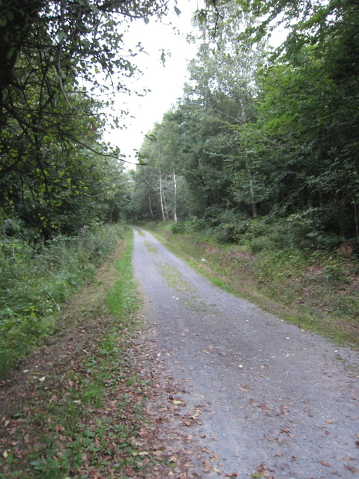 Rundfahrt: Rohrbach - Königsstuhl - Weststadt