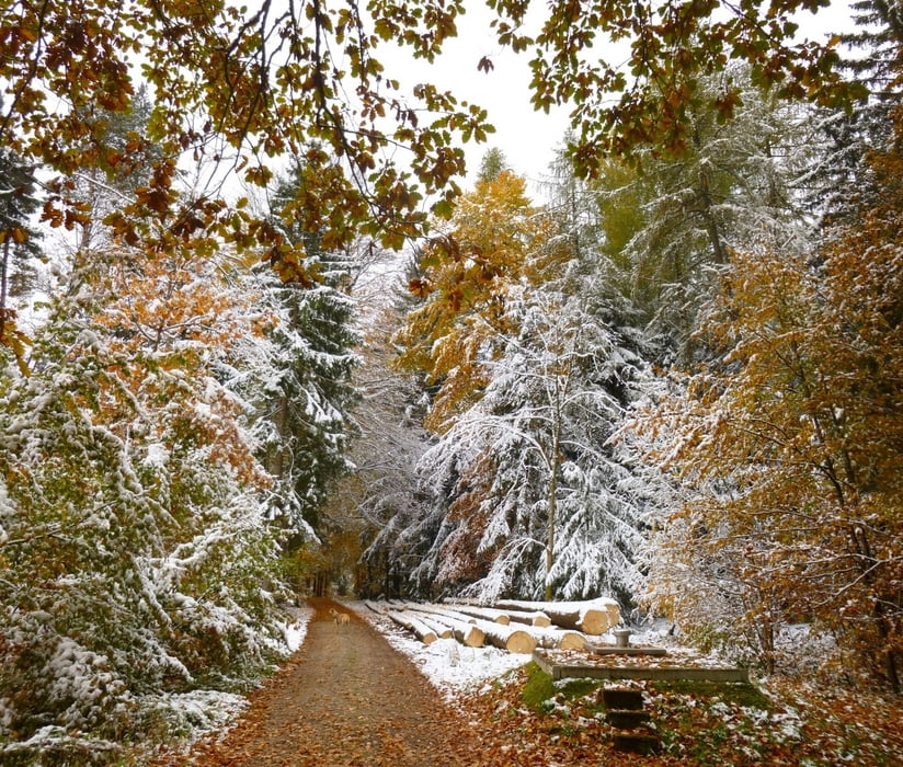 Wandern Franken: Herbst im Schnee bei Osternohe