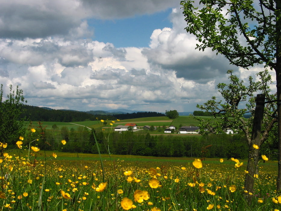 von Unternberg nach Obermühl