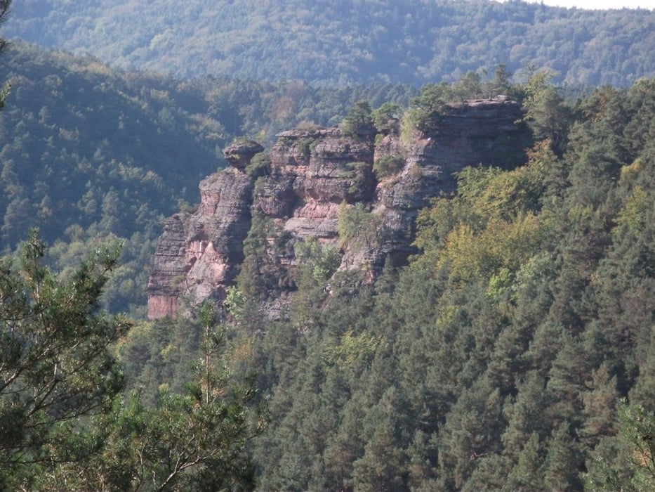 Paddelweiher - Pfälzer Wald (Vol.3)