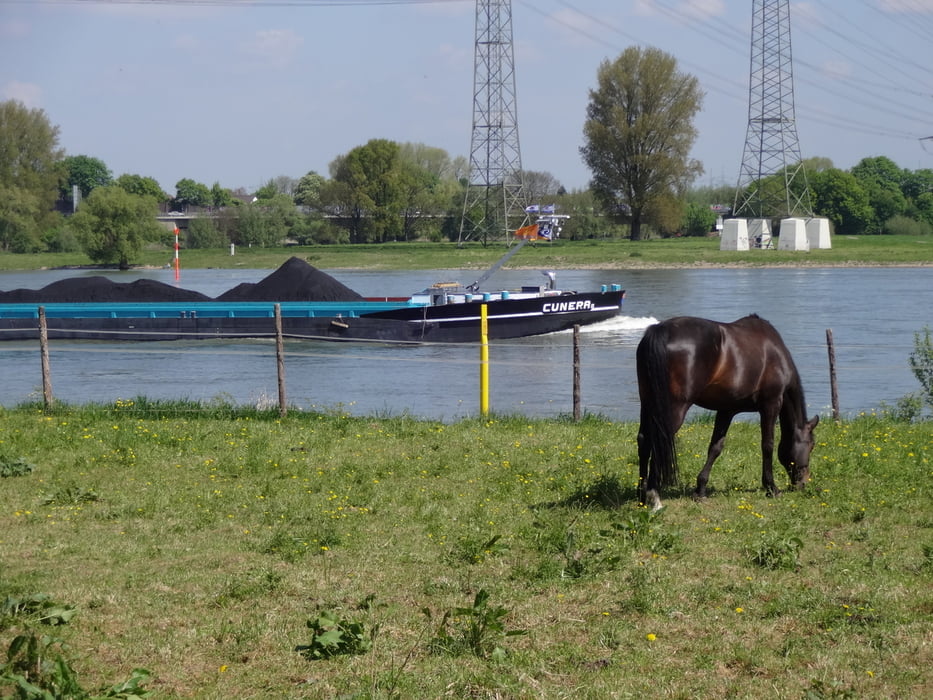Zu den Mönchen in Knechtsteden und Rast an der Regattastrecke