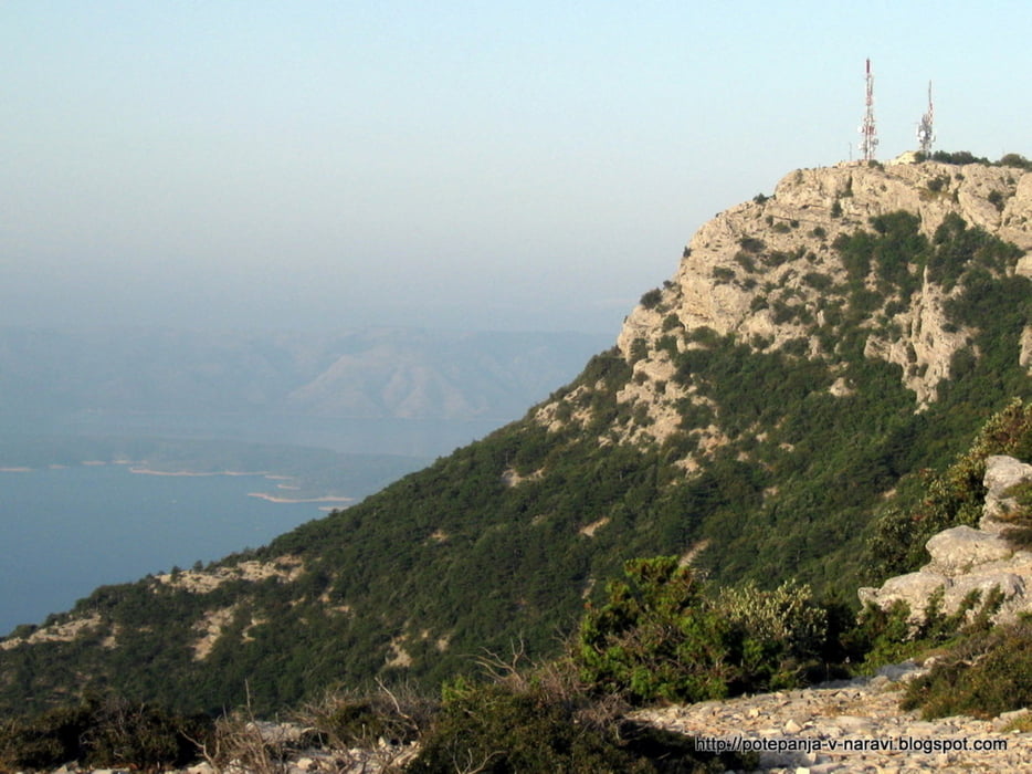 Vidova gora
