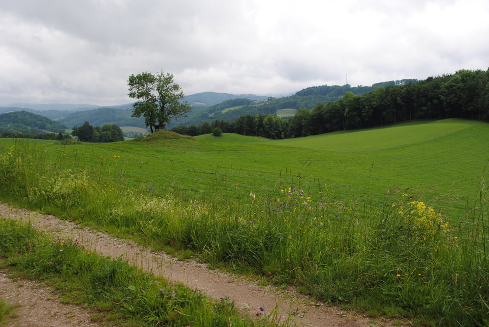 Hocheck mit Hindernissen (30.05.2014)