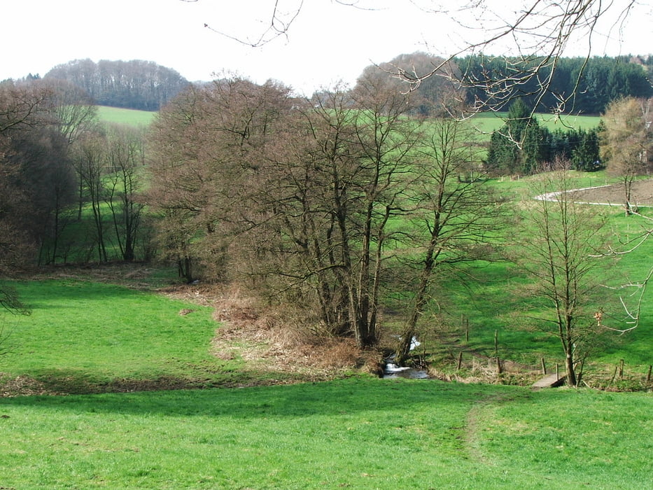 Ruhrgebiet: Elfringhauser Schweiz (1)